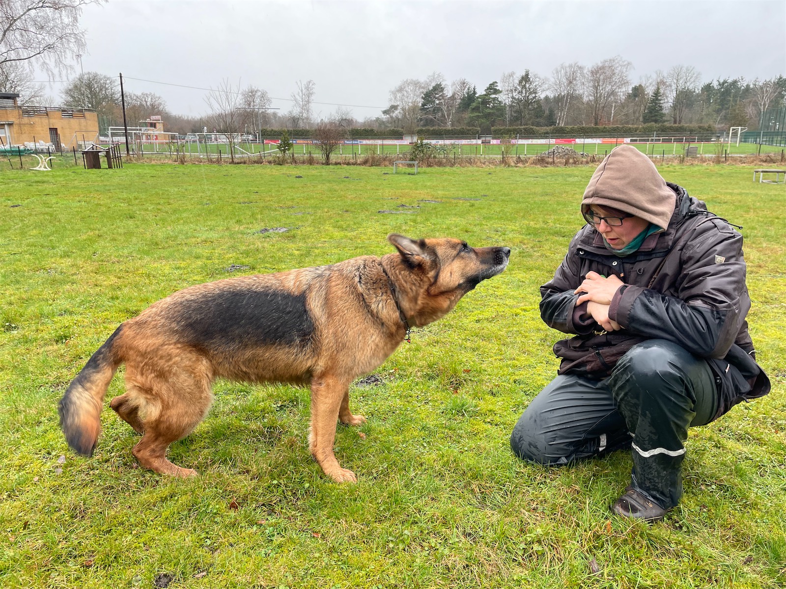 rettungshunde-lehrte-hund-findet-hockende-person